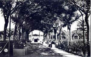 Rio Salado 509- Square et pergola COLLECTION DES AMIS DE ND DE SANTA CRUZ